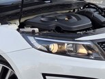 Kia K5-12