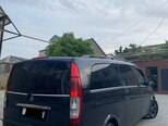 Mercedes Viano-2