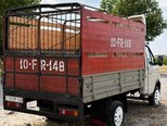 GAZ GAZel (33021)-11