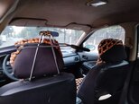 Nissan Sunny-3