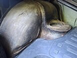 LADA (VAZ) 2106-14