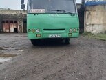 Isuzu Bogdan-1