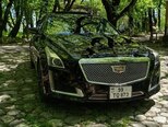 Cadillac CTS-18