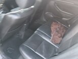 Toyota Avensis-12