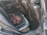 Toyota Avensis-10
