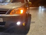 Toyota Corolla-6