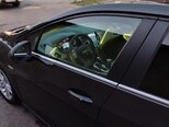 Chevrolet Cruze-12