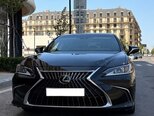 Lexus ES 300h-1