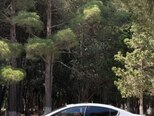 Kia K3-3