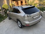 Lexus RX 330-11