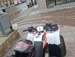 Kayo Mini Bull AU110-3