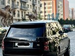 Land Rover Range Rover-5