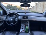 Jaguar XF-3