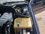 Mercedes C 220-21