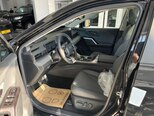 Toyota Wildlander-9