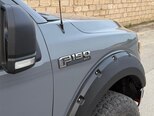 Ford F-150-4