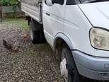 GAZ GAZel (330200)-6