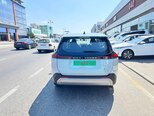 Toyota Wildlander-5