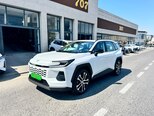 Toyota Wildlander-8