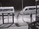 Mercedes Sprinter 515-4