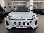 Toyota Wildlander-1