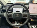 Toyota Wildlander-22