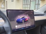 Tesla Model 3-16