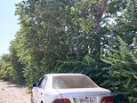 Mercedes E 220-2