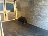Ford Transit-7
