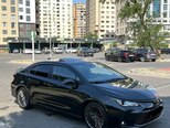 Toyota Corolla-6