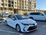 Toyota Corolla-6