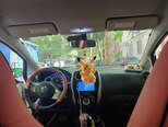 Nissan Note-3