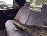 Mercedes C 200-7