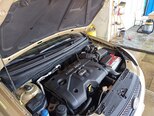 Kia Rio-12