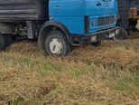 MAZ 551605-6