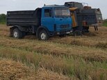 MAZ 551605-7