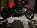 Harley-Davidson XL883N Sportster Iron 883-1