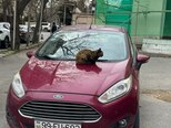 Ford Fiesta-9