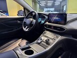 Hyundai Santa Fe-14
