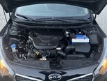 Kia Cerato-15