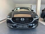 Mazda CX-30-1