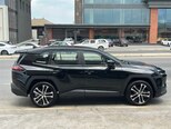 Toyota Wildlander-7