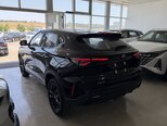 Changan Oshan X5 Plus-4