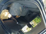 Kia Ceed SW-15