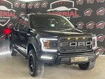 Ford F-150-1