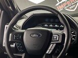 Ford F-150-12