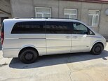 Mercedes Viano-2