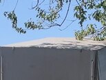 GAZ GAZel (3302-744)-5