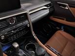 Lexus RX 300-10