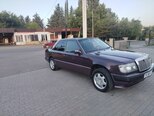 Mercedes 250 D-2